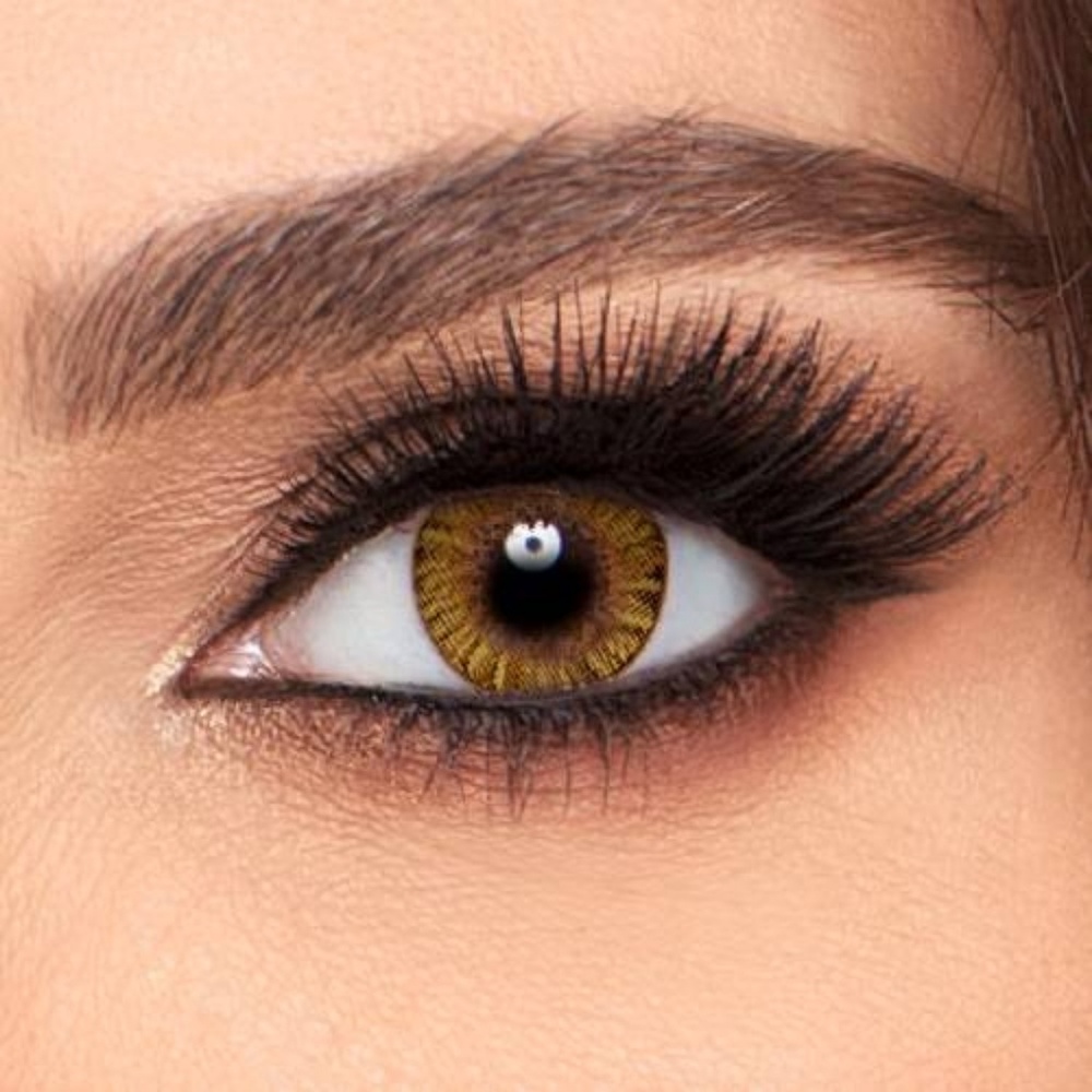 Freshlook - Picture 8 of 8